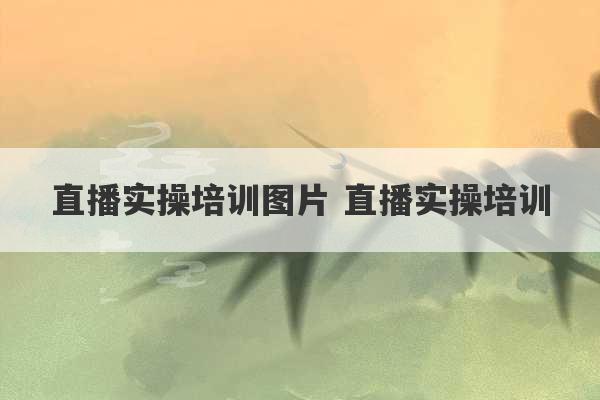 直播实操培训图片 直播实操培训