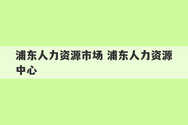 浦东人力资源市场 浦东人力资源中心