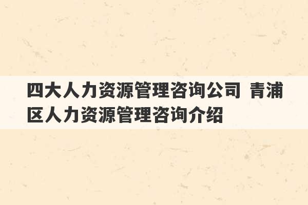 四大人力资源管理咨询公司 青浦区人力资源管理咨询介绍