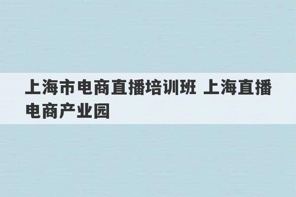 上海市电商直播培训班 上海直播电商产业园