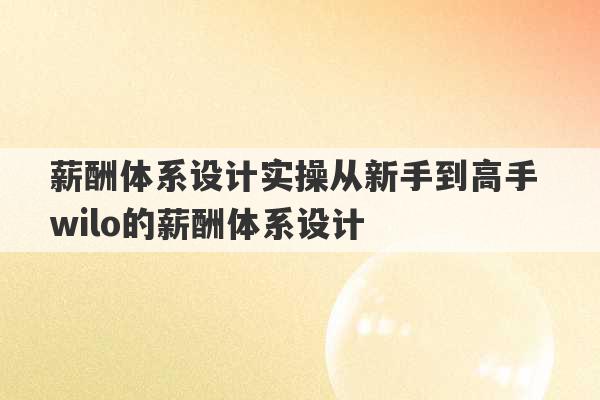 薪酬体系设计实操从新手到高手 wilo的薪酬体系设计