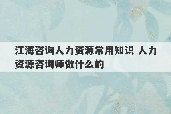 江海咨询人力资源常用知识 人力资源咨询师做什么的