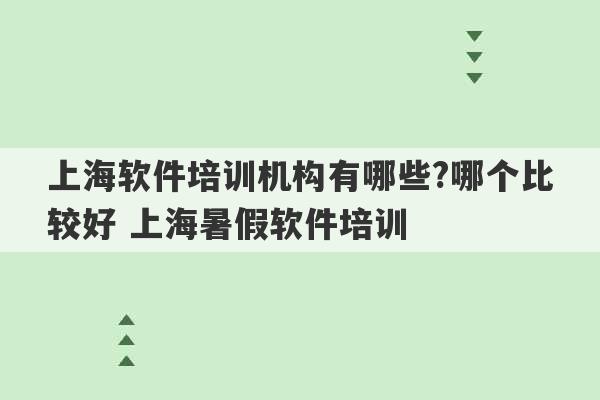 上海软件培训机构有哪些?哪个比较好 上海暑假软件培训