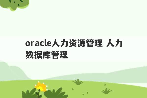 oracle人力资源管理 人力数据库管理