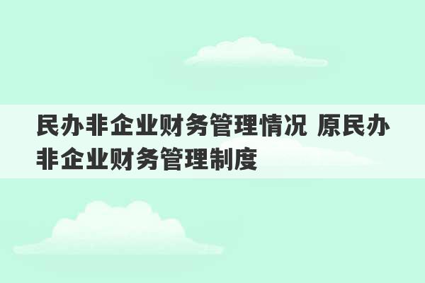 民办非企业财务管理情况 原民办非企业财务管理制度