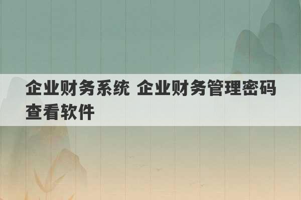 企业财务系统 企业财务管理密码查看软件