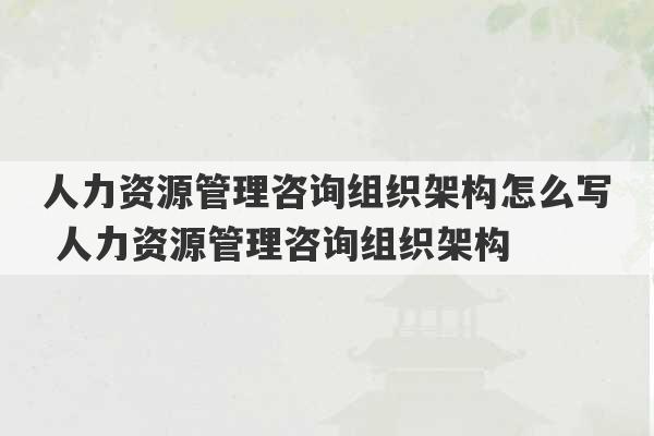 人力资源管理咨询组织架构怎么写 人力资源管理咨询组织架构