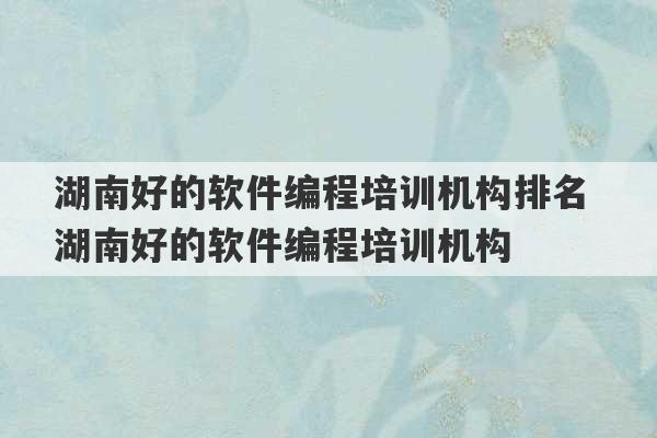 湖南好的软件编程培训机构排名 湖南好的软件编程培训机构