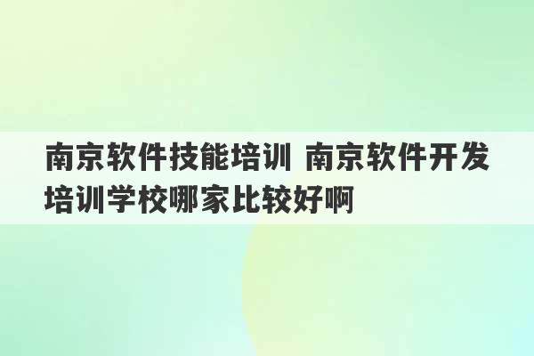 南京软件技能培训 南京软件开发培训学校哪家比较好啊