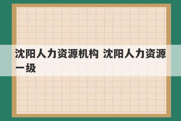 沈阳人力资源机构 沈阳人力资源一级