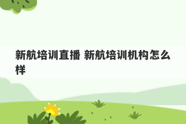 新航培训直播 新航培训机构怎么样