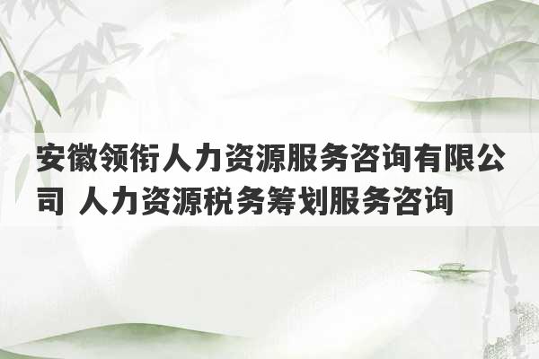 安徽领衔人力资源服务咨询有限公司 人力资源税务筹划服务咨询