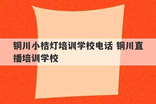 铜川小桔灯培训学校电话 铜川直播培训学校