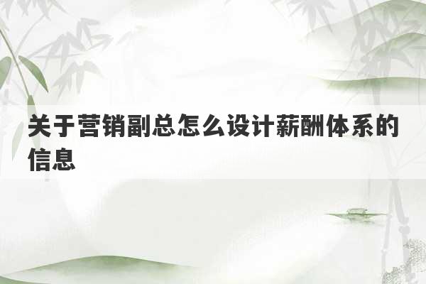 关于营销副总怎么设计薪酬体系的信息