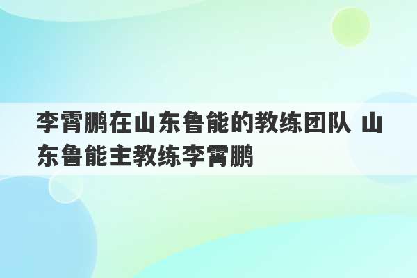 李霄鹏在山东鲁能的教练团队 山东鲁能主教练李霄鹏