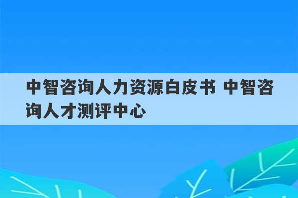 中智咨询人力资源白皮书 中智咨询人才测评中心