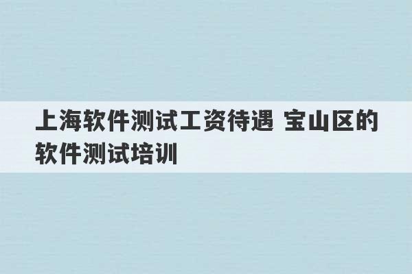 上海软件测试工资待遇 宝山区的软件测试培训