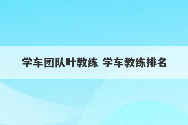 学车团队叶教练 学车教练排名