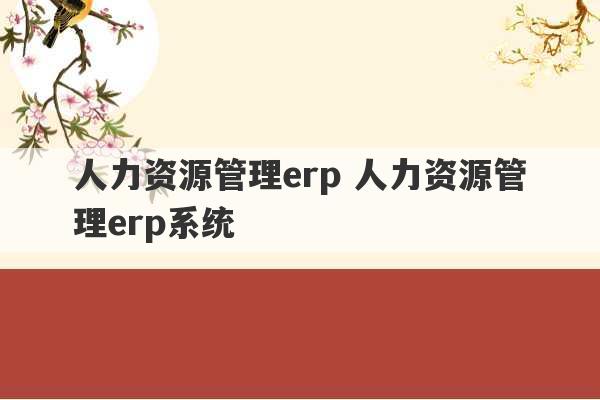 人力资源管理erp 人力资源管理erp系统