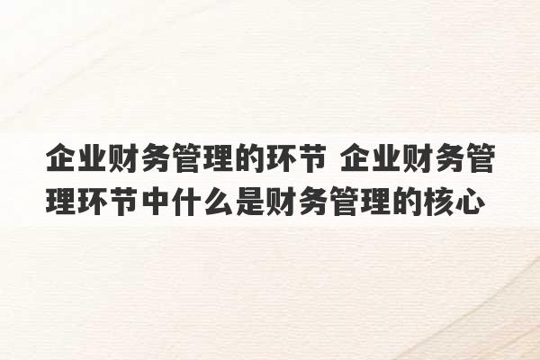 企业财务管理的环节 企业财务管理环节中什么是财务管理的核心