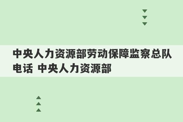 中央人力资源部劳动保障监察总队电话 中央人力资源部