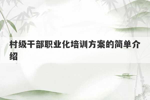 村级干部职业化培训方案的简单介绍