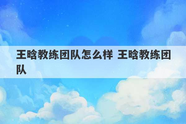 王晗教练团队怎么样 王晗教练团队