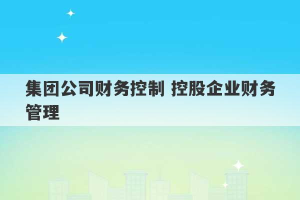 集团公司财务控制 控股企业财务管理