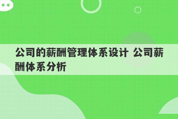 公司的薪酬管理体系设计 公司薪酬体系分析