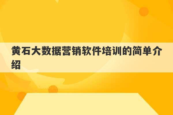 黄石大数据营销软件培训的简单介绍