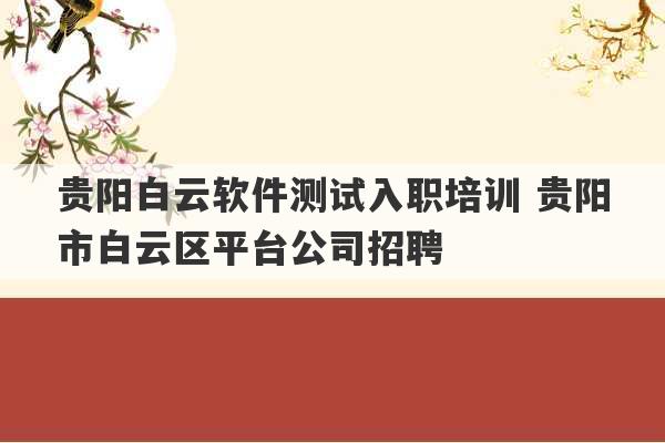 贵阳白云软件测试入职培训 贵阳市白云区平台公司招聘