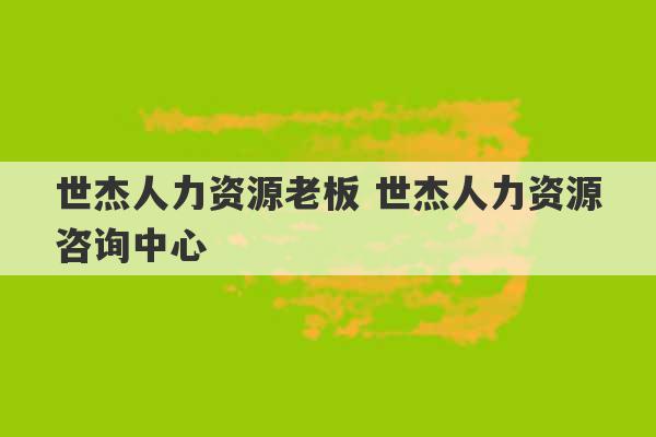 世杰人力资源老板 世杰人力资源咨询中心