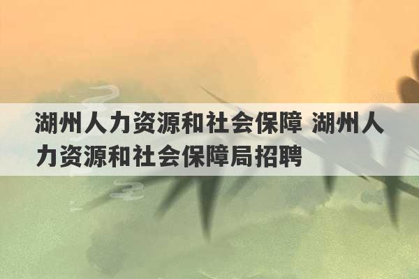 湖州人力资源和社会保障 湖州人力资源和社会保障局招聘