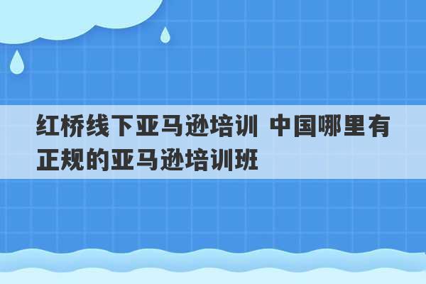 红桥线下亚马逊培训 中国哪里有正规的亚马逊培训班