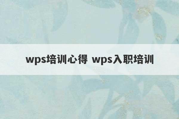 wps培训心得 wps入职培训