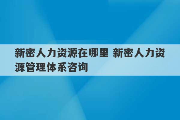 新密人力资源在哪里 新密人力资源管理体系咨询