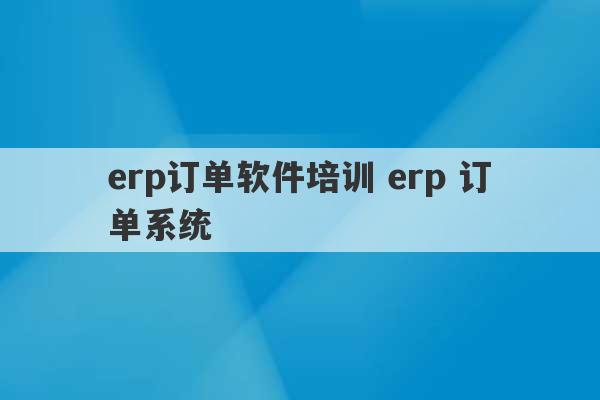 erp订单软件培训 erp 订单系统