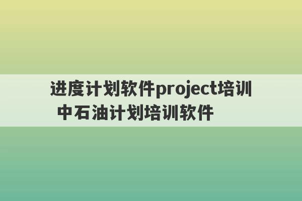 进度计划软件project培训 中石油计划培训软件