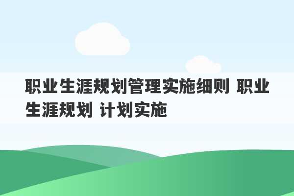 职业生涯规划管理实施细则 职业生涯规划 计划实施