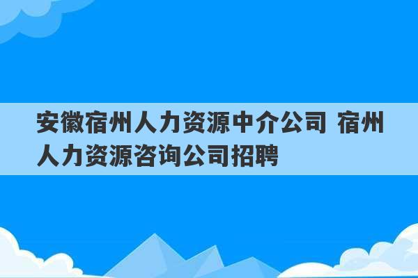 安徽宿州人力资源中介公司 宿州人力资源咨询公司招聘