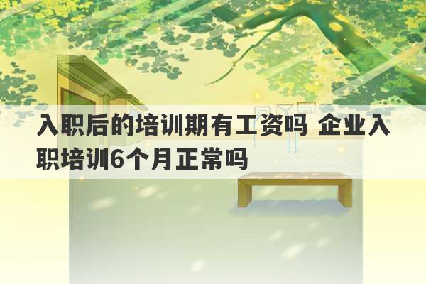 入职后的培训期有工资吗 企业入职培训6个月正常吗