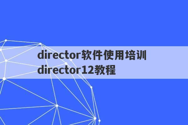 director软件使用培训 director12教程