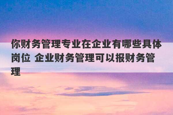 你财务管理专业在企业有哪些具体岗位 企业财务管理可以报财务管理