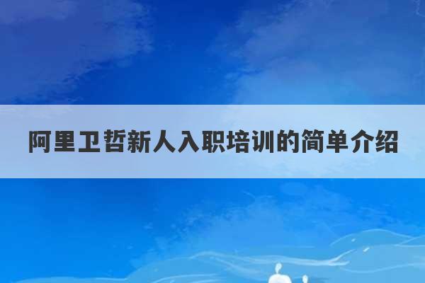 阿里卫哲新人入职培训的简单介绍