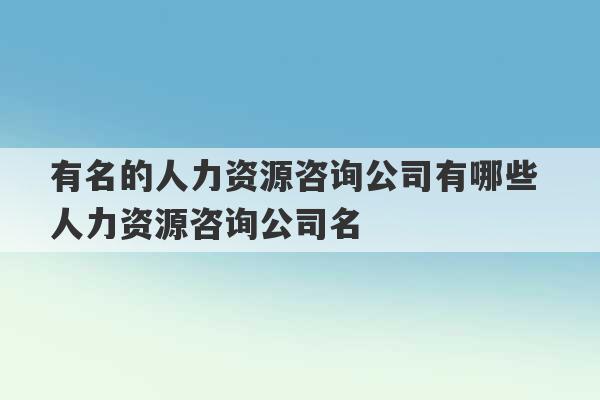 有名的人力资源咨询公司有哪些 人力资源咨询公司名