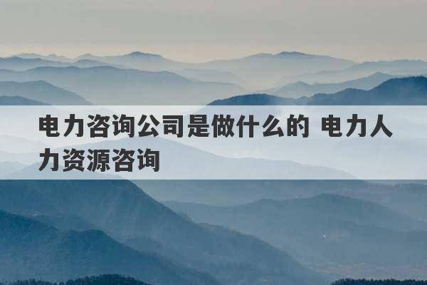 电力咨询公司是做什么的 电力人力资源咨询