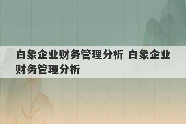 白象企业财务管理分析 白象企业财务管理分析