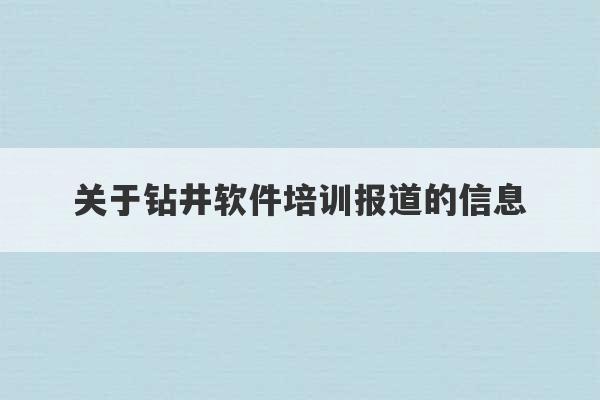 关于钻井软件培训报道的信息