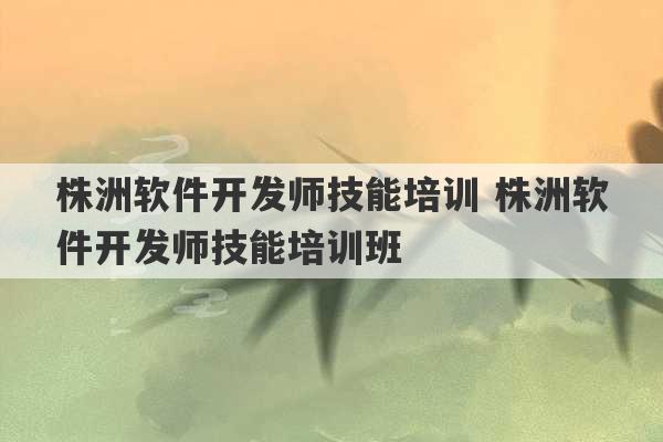 株洲软件开发师技能培训 株洲软件开发师技能培训班