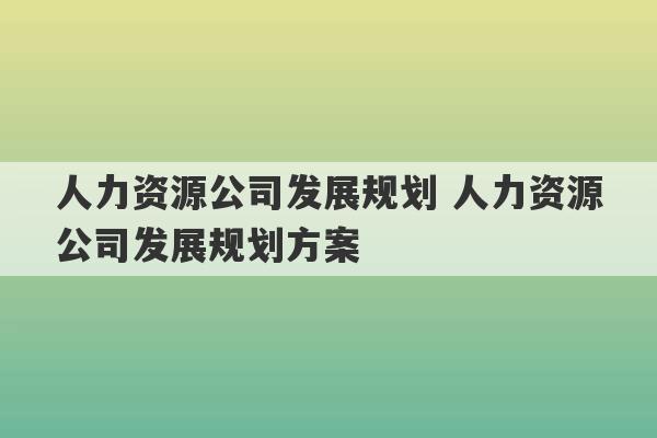 人力资源公司发展规划 人力资源公司发展规划方案